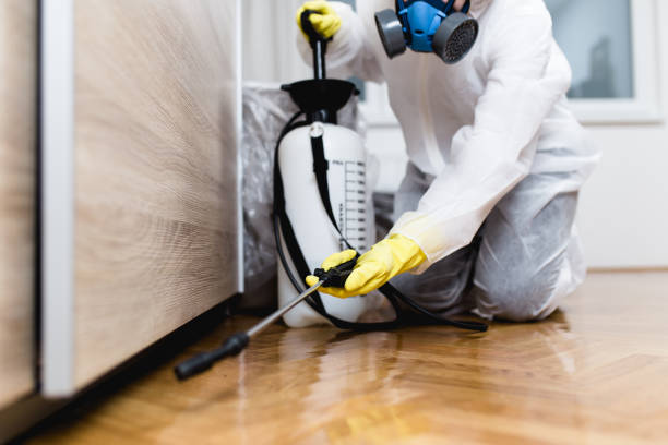Best Cockroach Control Services  in Wickes, AR