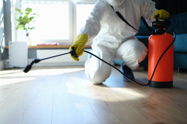 Best Best Pest Control Companies  in Wickes, AR
