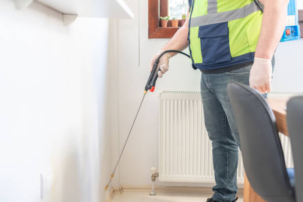 Best Flea Control Services  in Wickes, AR