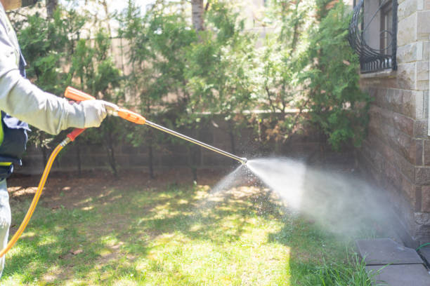 Best Affordable Pest Control Services  in Wickes, AR