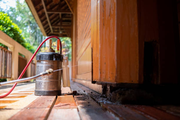 Best Commercial Pest Control Services  in Wickes, AR